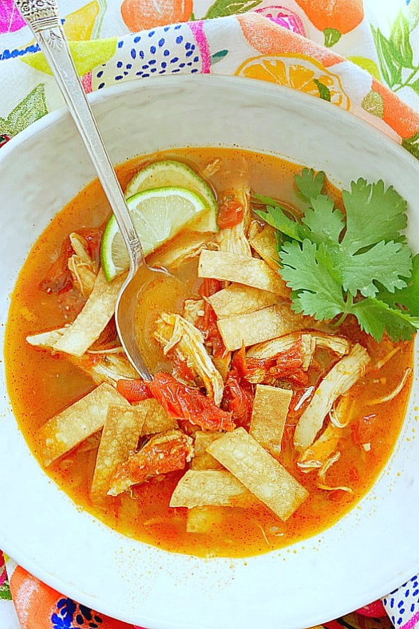 overhead view of tortilla soup - not garnished