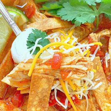 close up view of chicken tortilla soup
