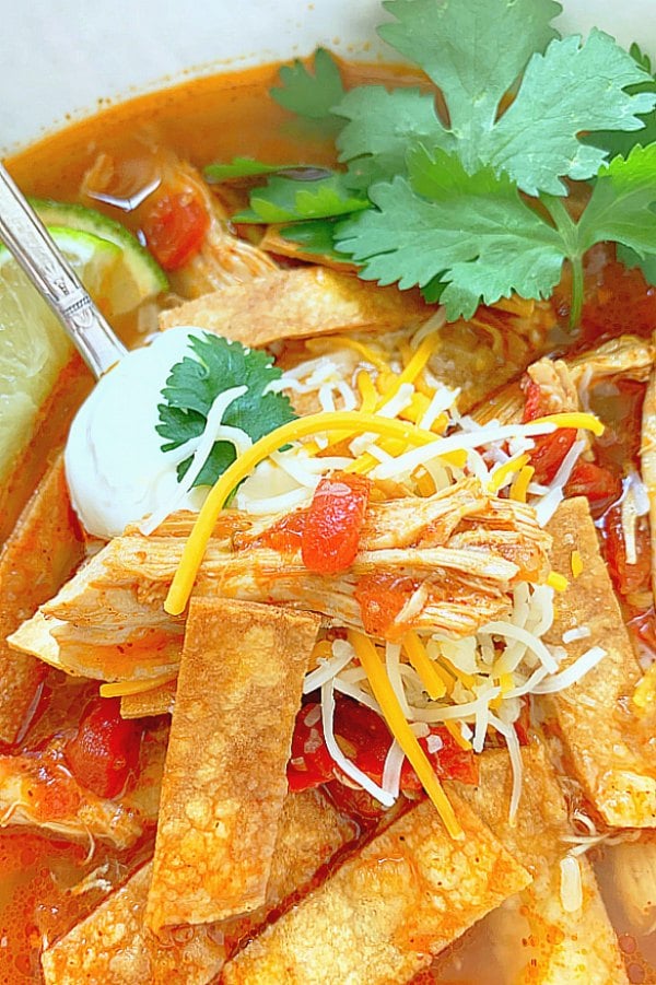 close up view of chicken tortilla soup