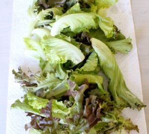 Local Salad Greens