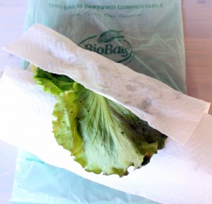 Local Salad Greens