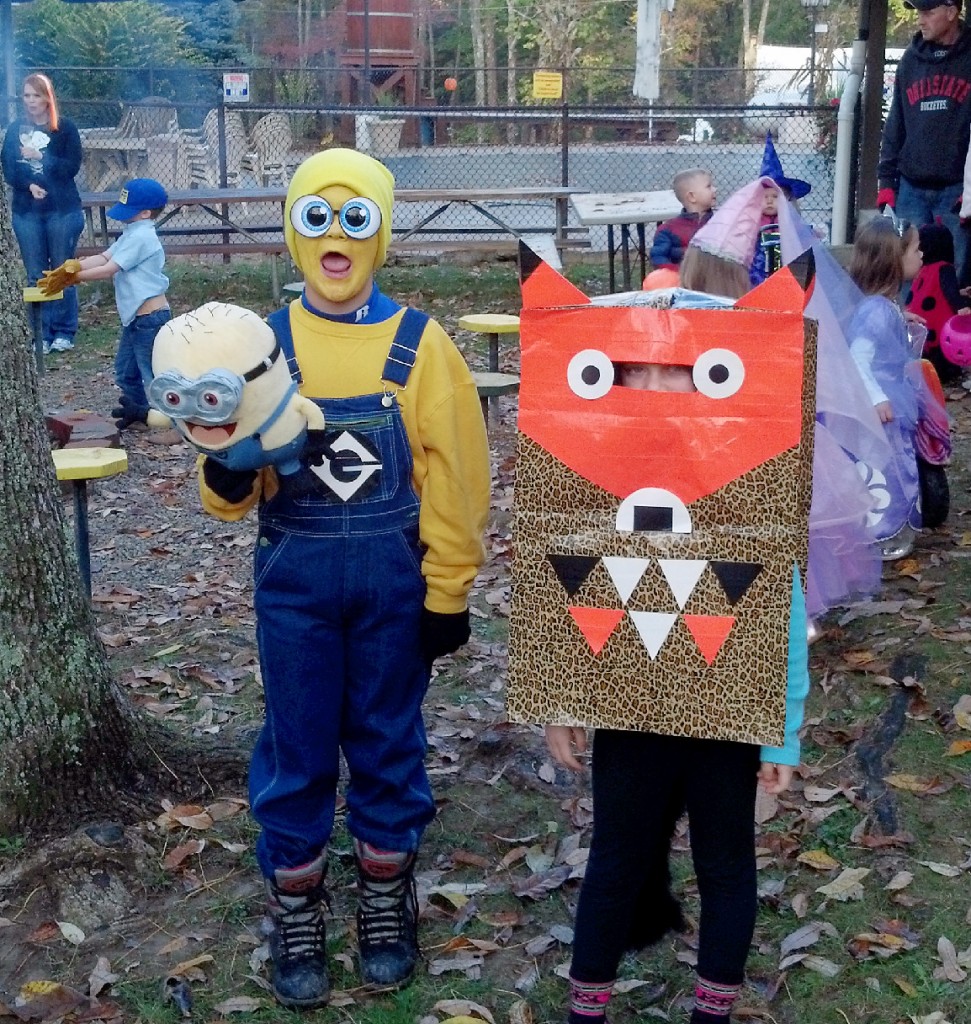 DIY Minion and Fox