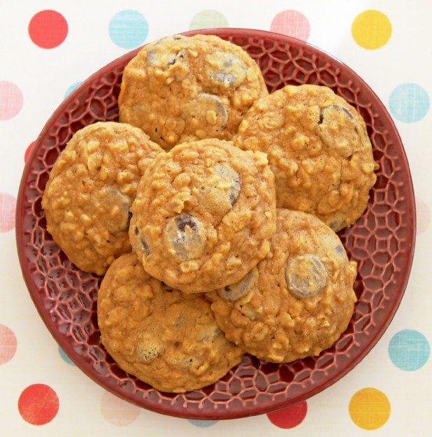 Pumpkin Oatmeal Chocolate Chip Cookies