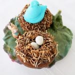 Bird Nest Donuts