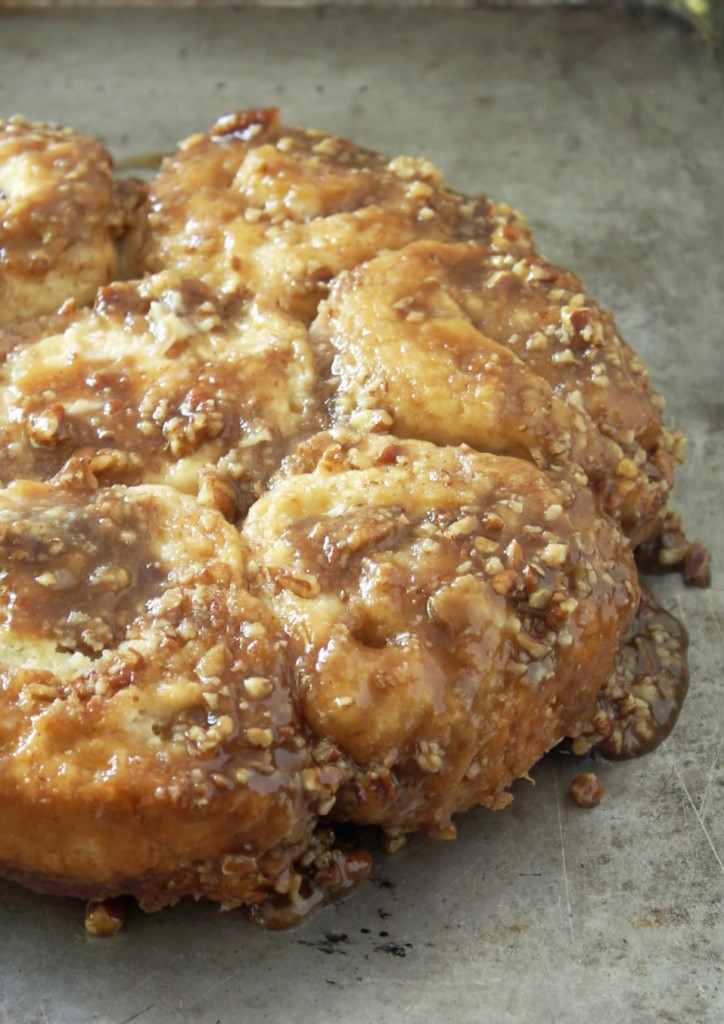 Maple Cream Cheese Pecan Rolls by Foodtastic Mom