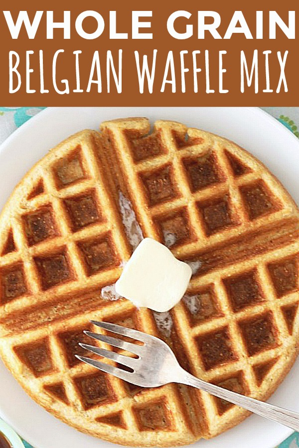 Whole Grain Waffle Mix | Foodtastic Mom #wafflerecipe #waffles