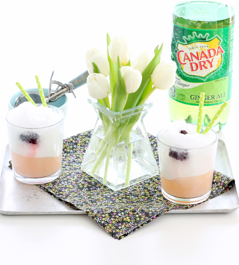 Keep Spring Bubbly with Canada Dry Ice Cream Floats by Foodtastic Mom #KeepSpringBubbly #ad