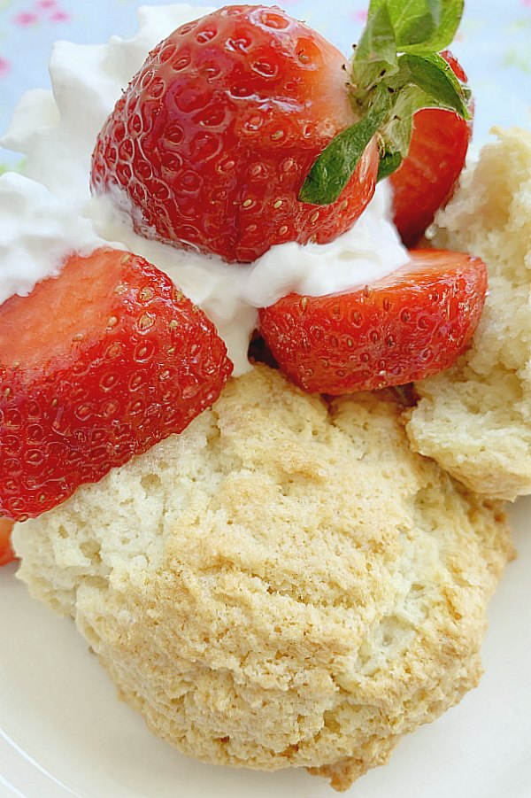 strawberry shortcake on a plate with whipped cream