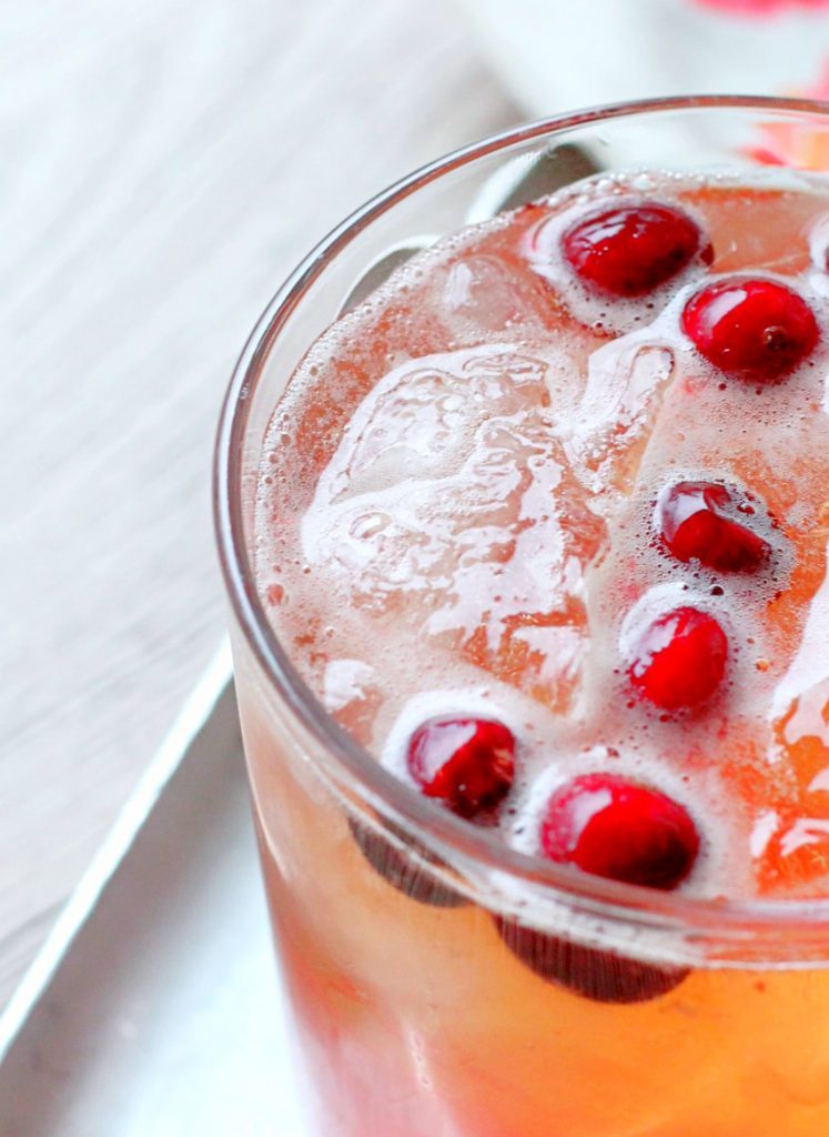 Cranberry Bourbon Fizz by Foodtastic Mom #donthesitaste