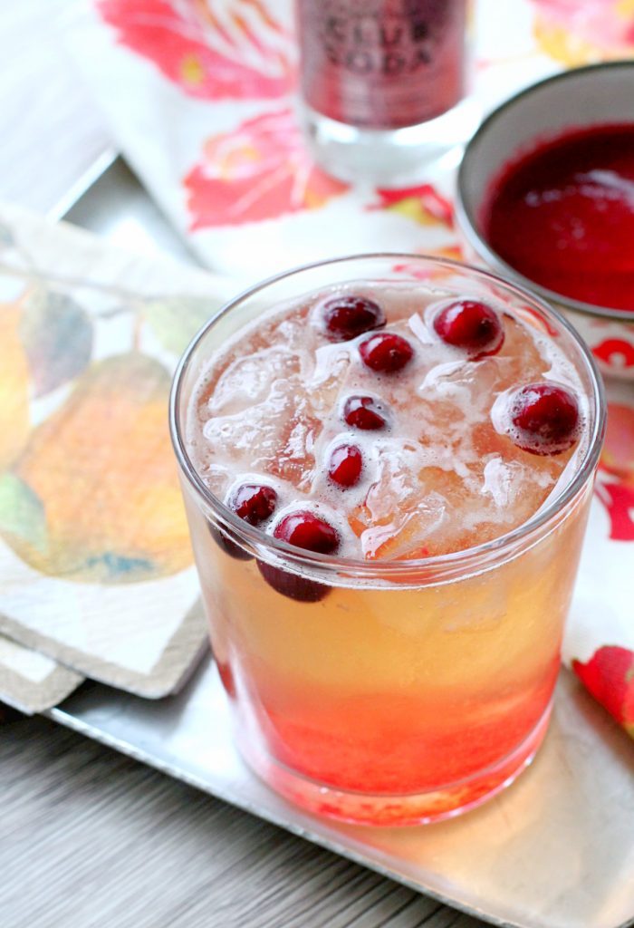 Cranberry Bourbon Fizz by Foodtastic Mom #donthesitaste