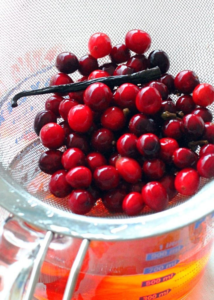 Cranberry Bourbon Fizz by Foodtastic Mom #donthesitaste