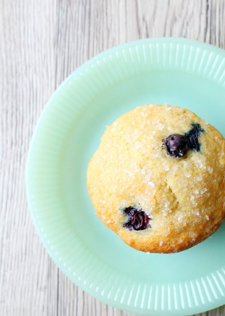 The Best Blueberry Muffins by Foodtastic Mom
