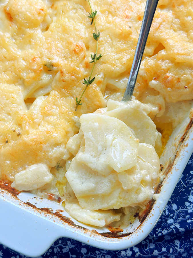 a spoonful of potatoes dauphinoise