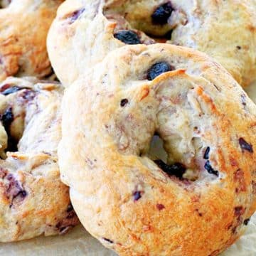 homemade blueberry bagels right after baking