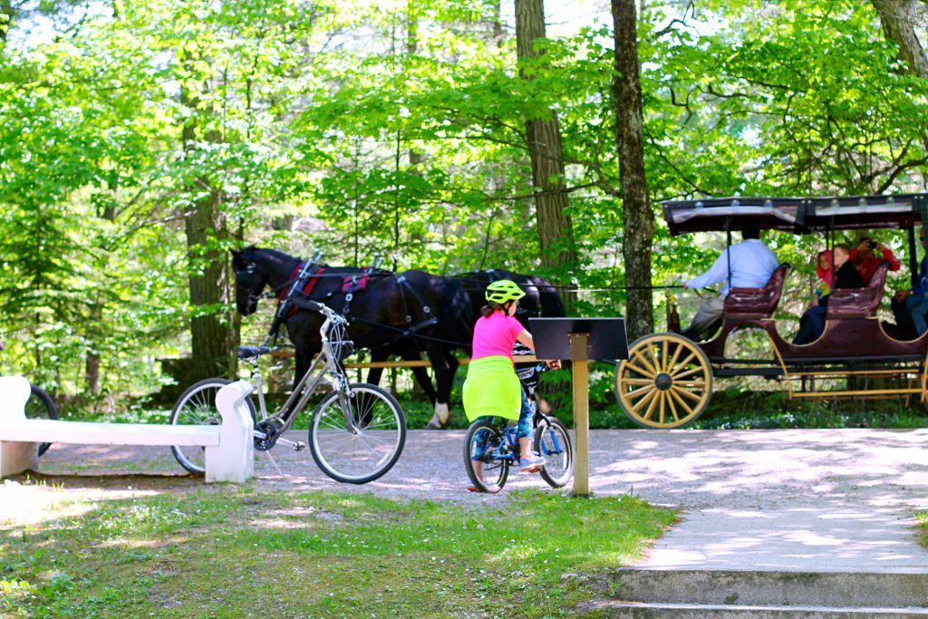 The Perfect Family Day Trip to Mackinac Island by Foodtastic Mom #travel #mackinacisland