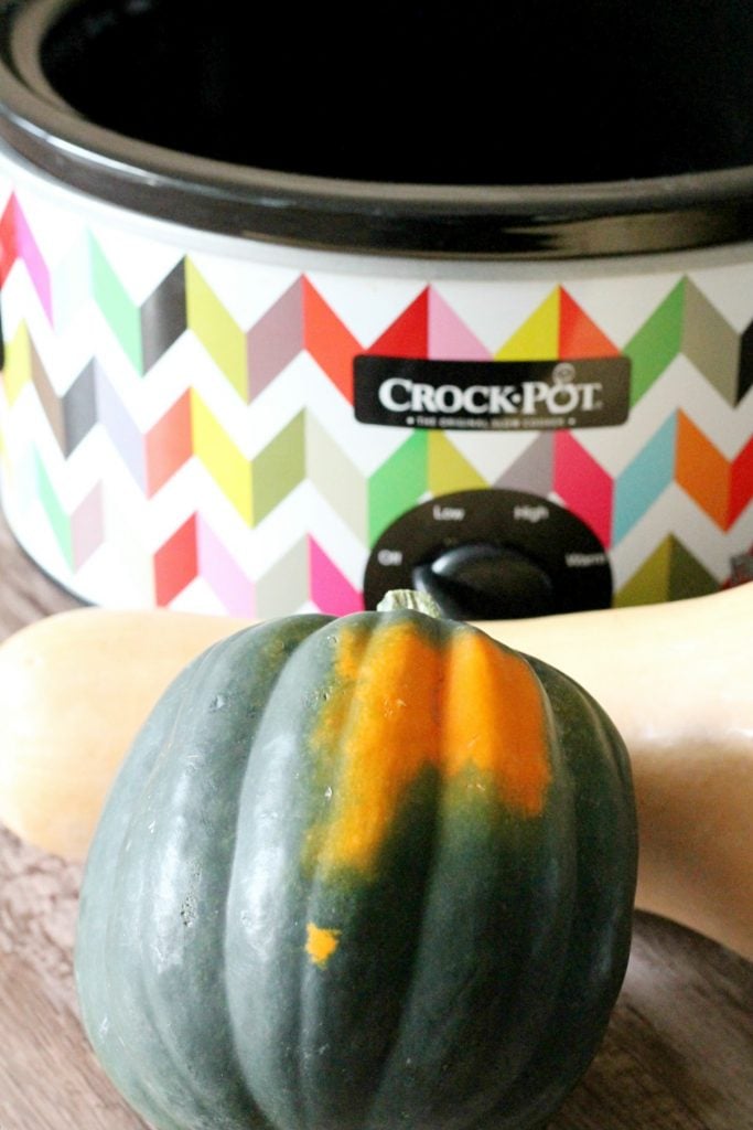 Slow Cooker Squash Soup by Foodtastic Mom