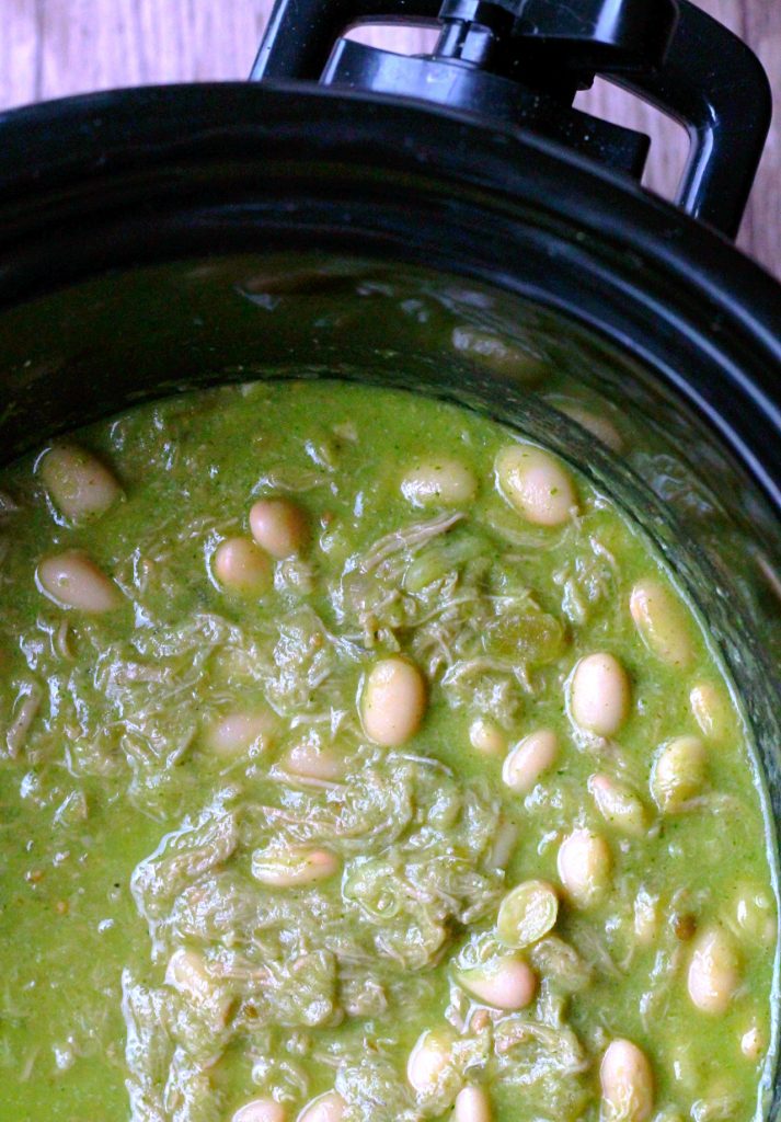 Slow Cooker Chile Verde by Foodastic Mom