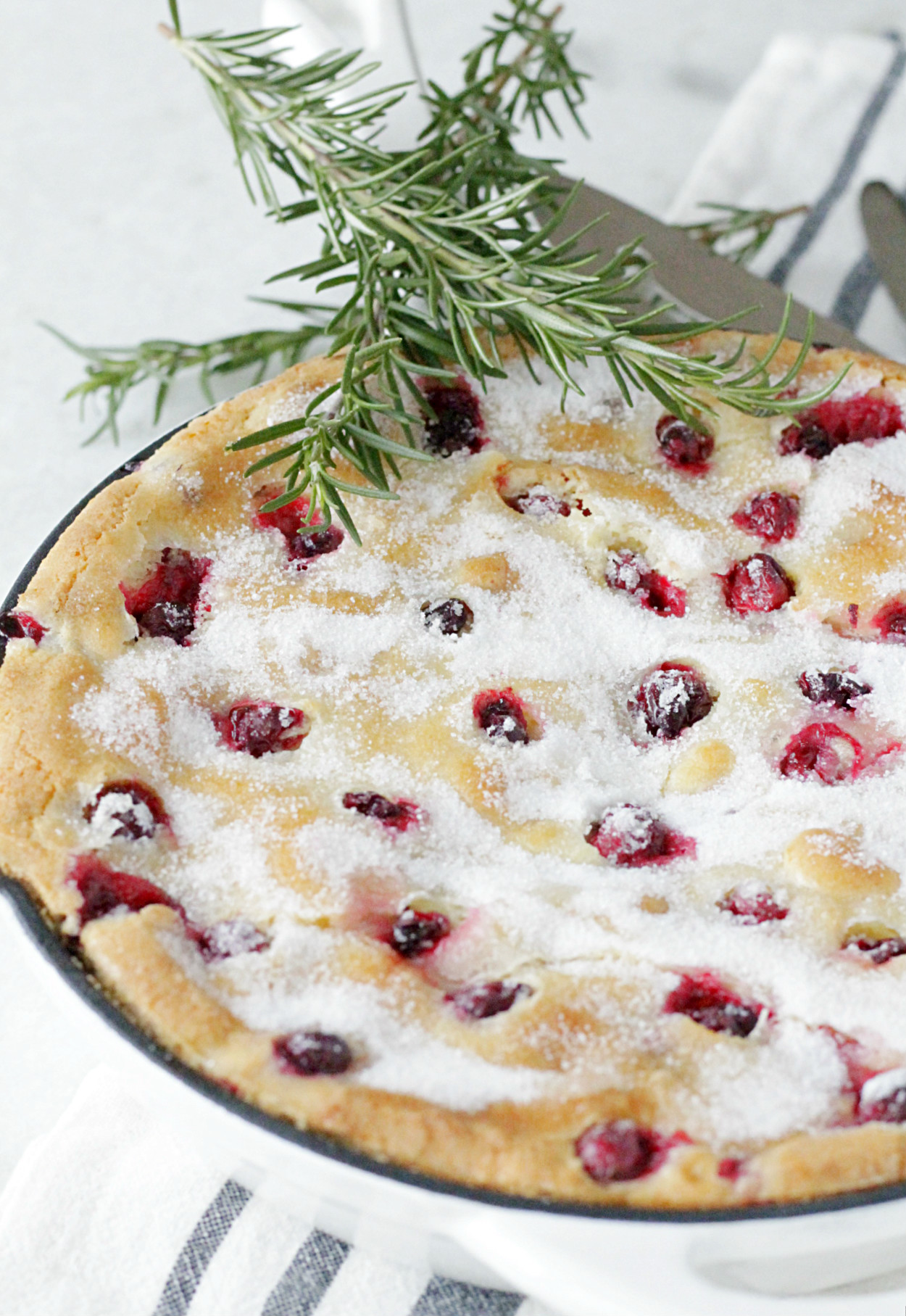 Sugared Cranberry Cake