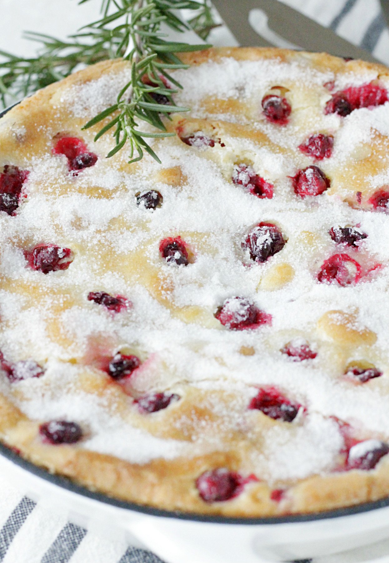 Sugared Cranberry Cake