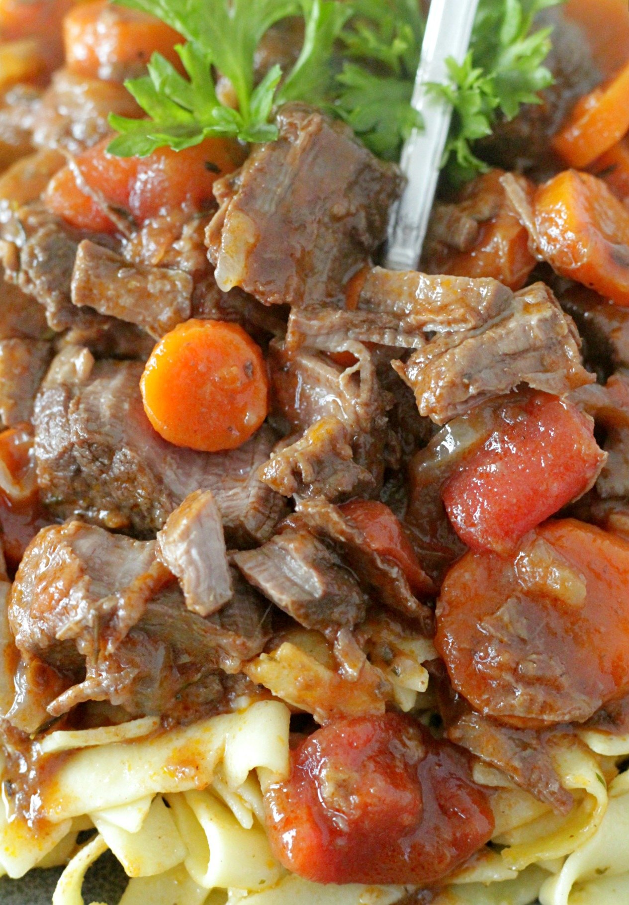 provencal beef stew close up