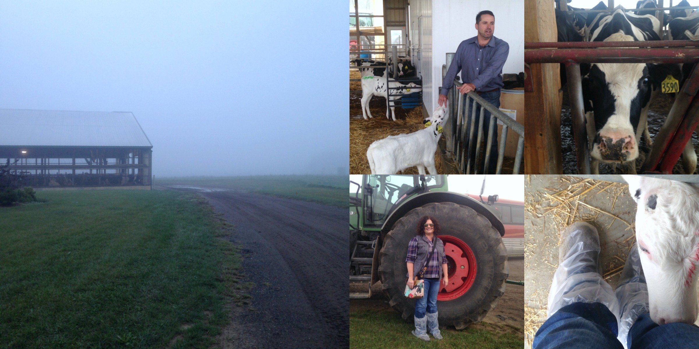 Clardale Farm collage