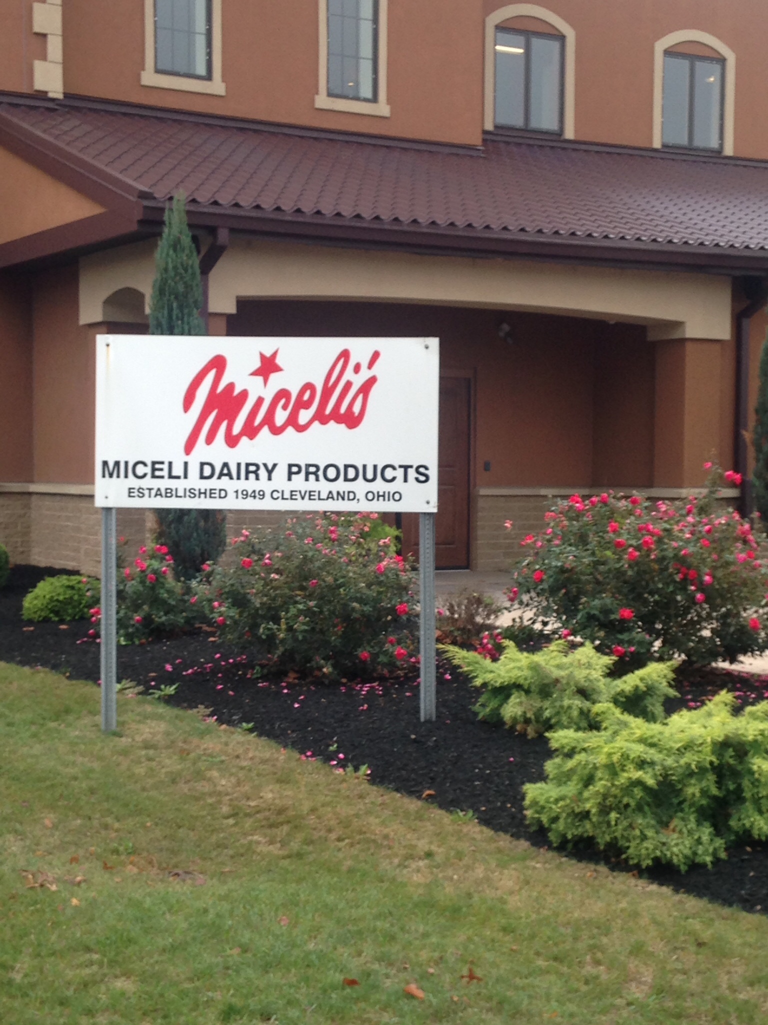 Miceli's