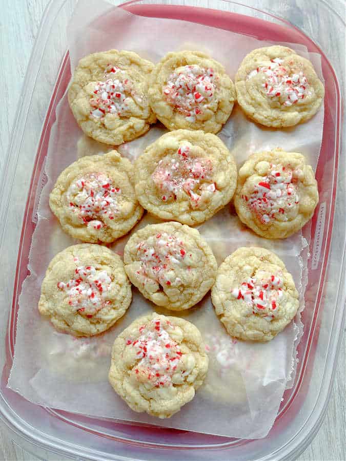 showing the white chocolate peppermint cookies stored in an air tight container