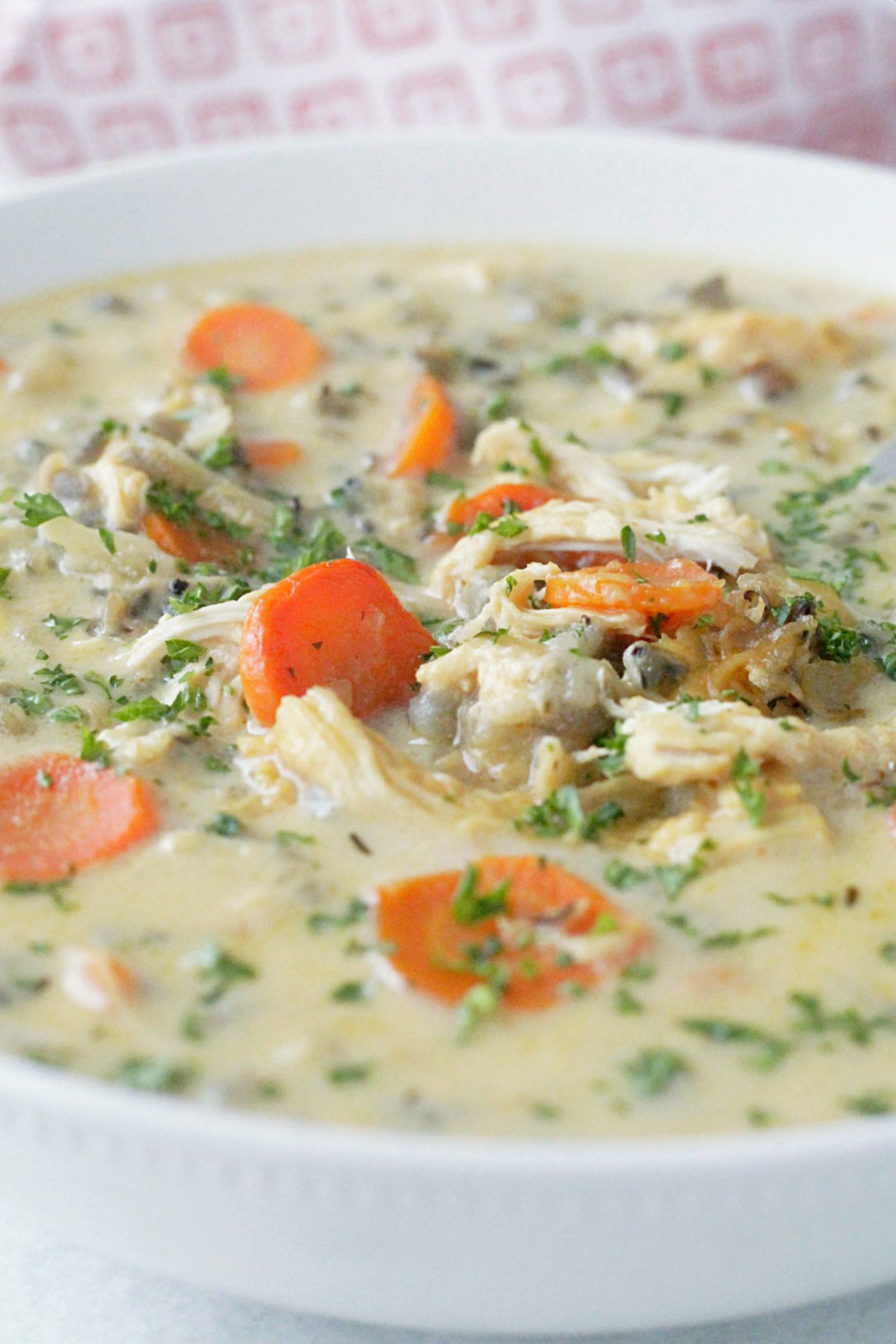 slow cooker beer cheese chicken and wild rice soup close up