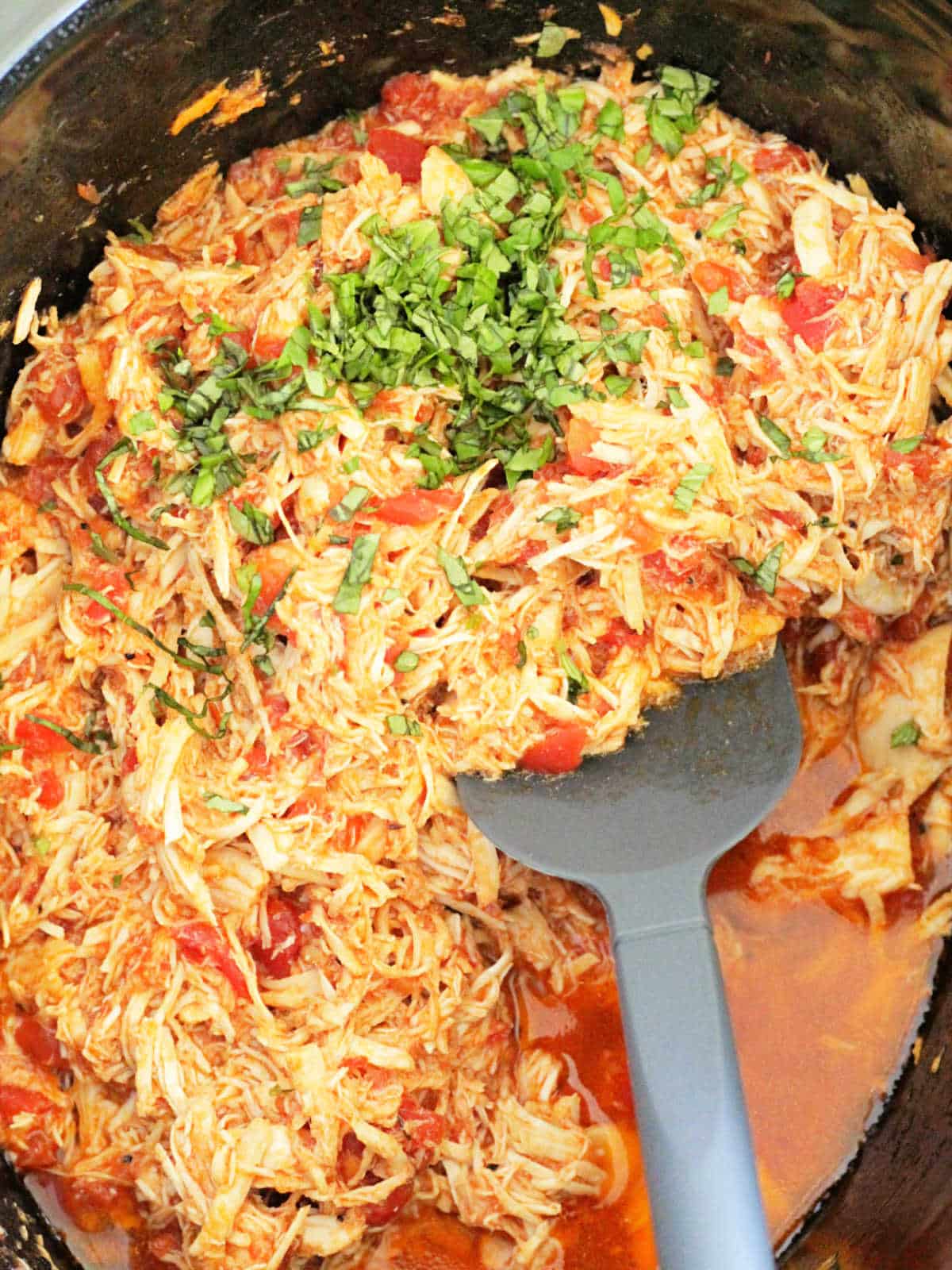 italian chicken cooked in the crockpot and ready to serve, garnished with fresh basil