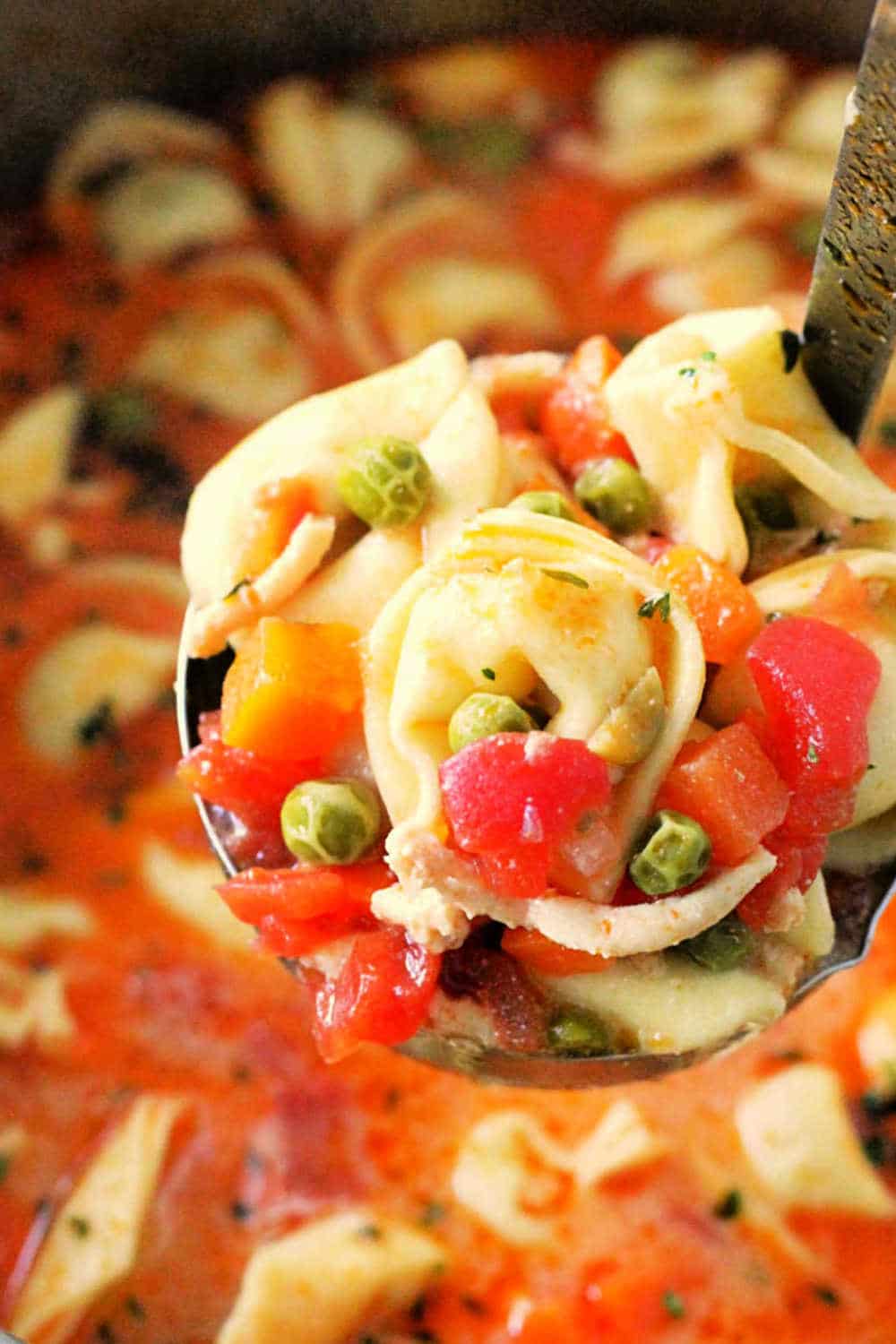 Creamy Cheese Tortellini Soup is filled with vegetables and ground turkey for a hearty and nutritious soup that kids love. via @foodtasticmom