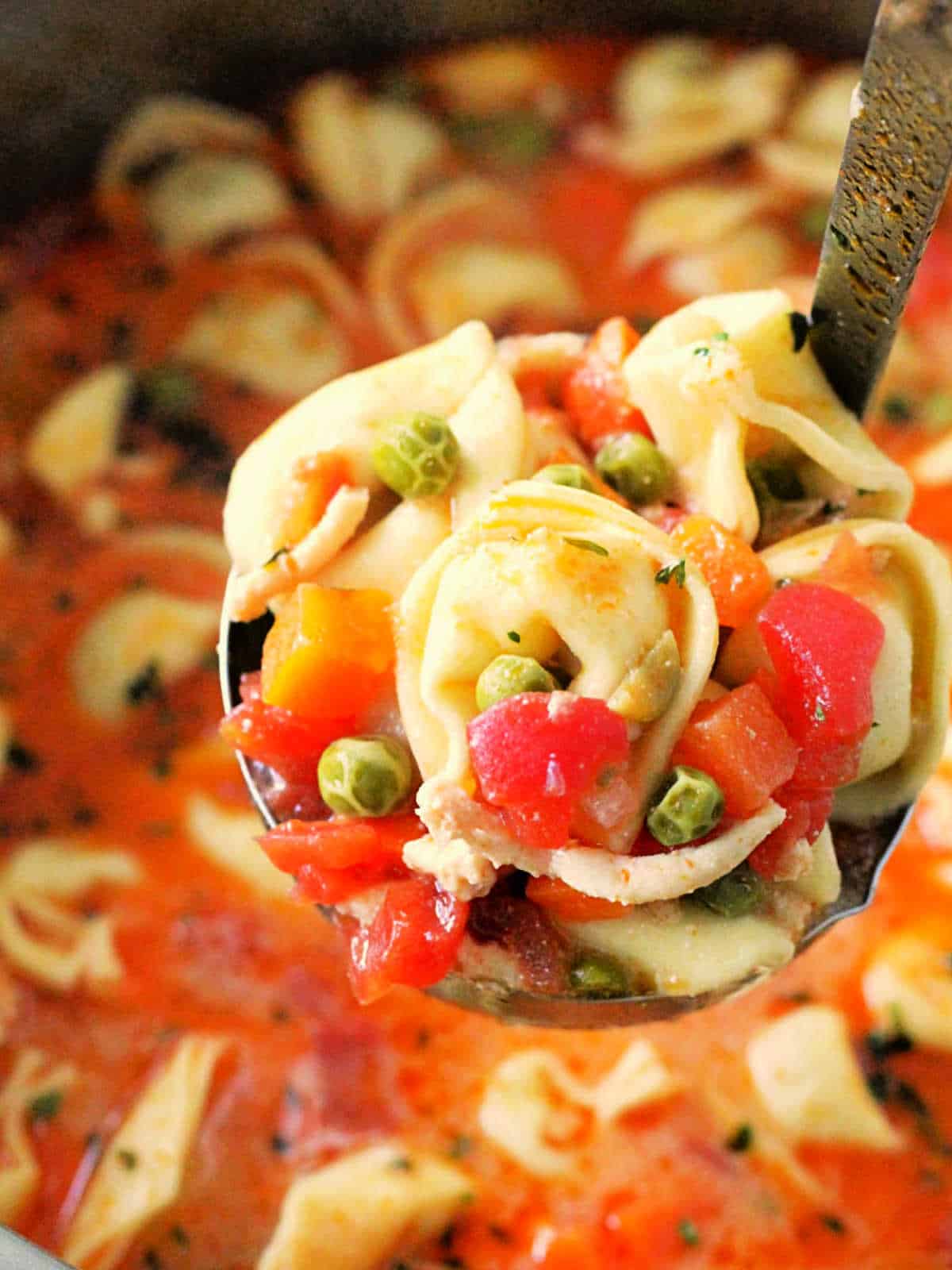 lifting a ladle with tortellini soup out of the pot