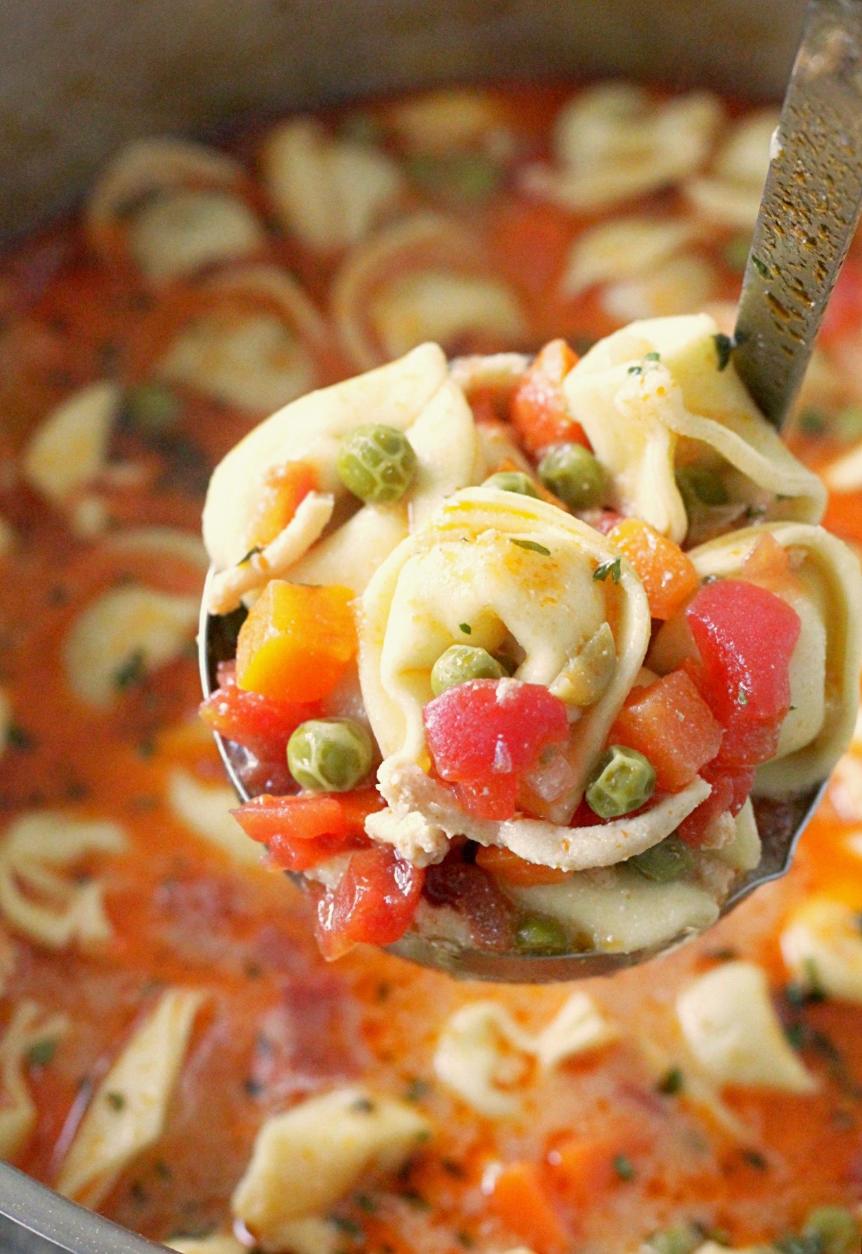 creamy cheese tortellini soup in ladel