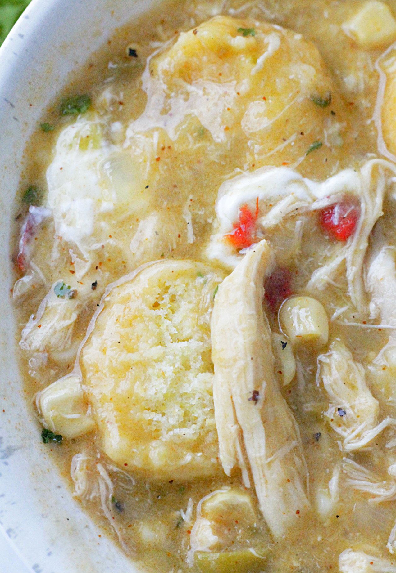 southwest chicken and dumplings close up