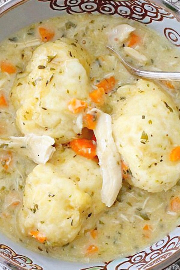 simply delicious chicken and dumplings overhead view in bowl