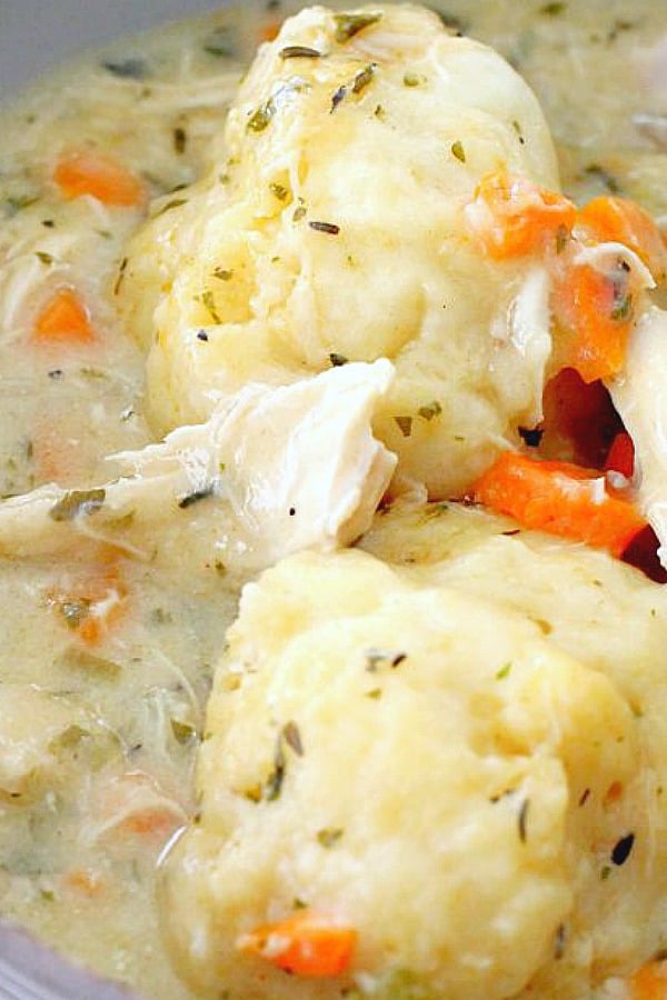 simply delicious chicken and dumplings close up