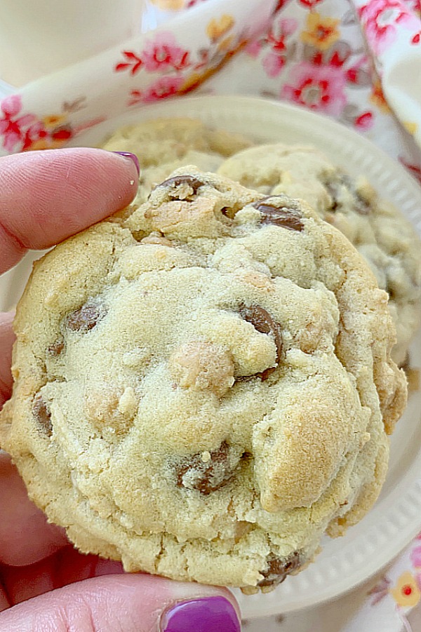 holding a chocolate peanut butter chip cookie