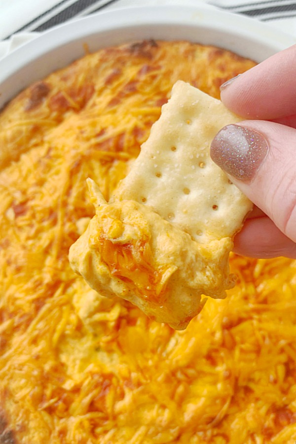 cracker being dipped in the best buffalo chicken dip