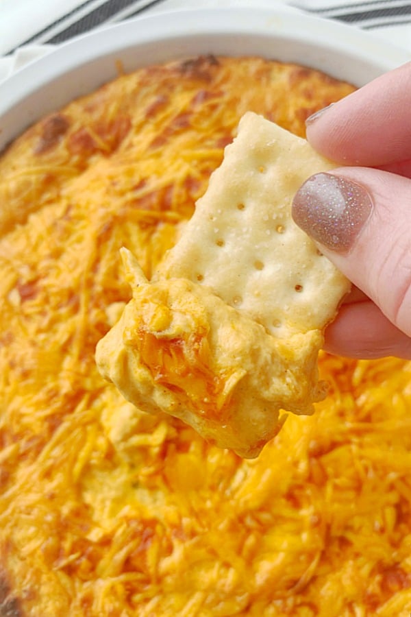 cracker being dipped in the best buffalo chicken dip