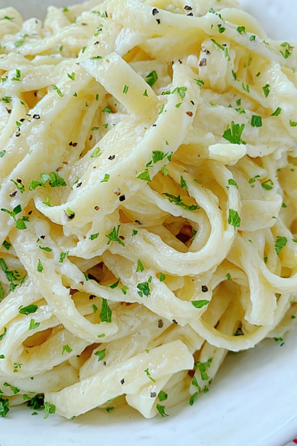 close up view of fettuccine alfredo