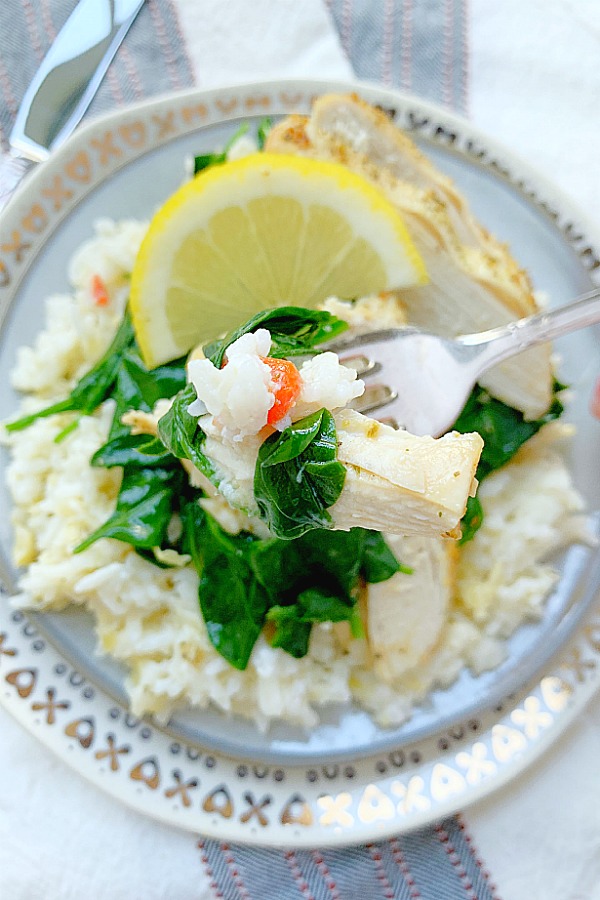 close up bite of air fryer chicken breasts