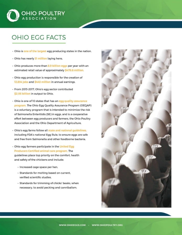 fact sheet about Ohio Eggs