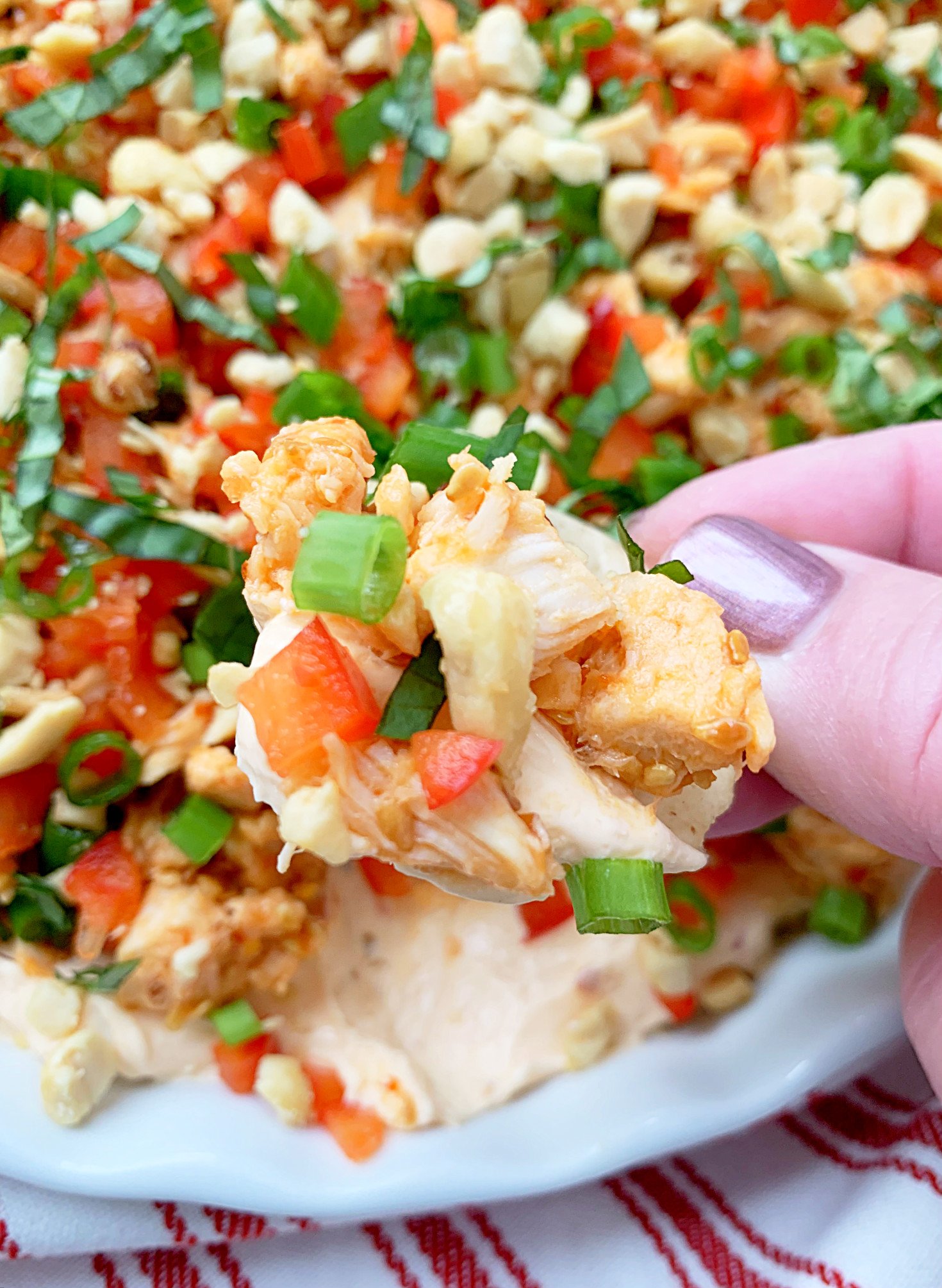 thai chicken dip with cracker