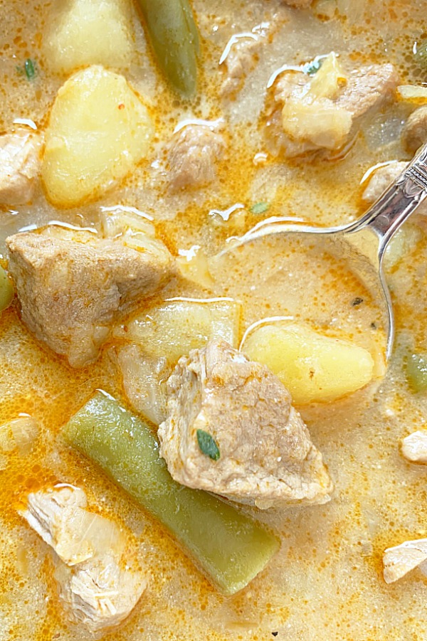 close up view of pork stew in a bowl