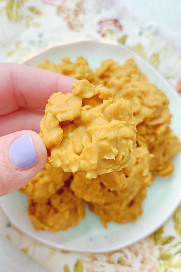 holding a peanut butter cornflake cookie