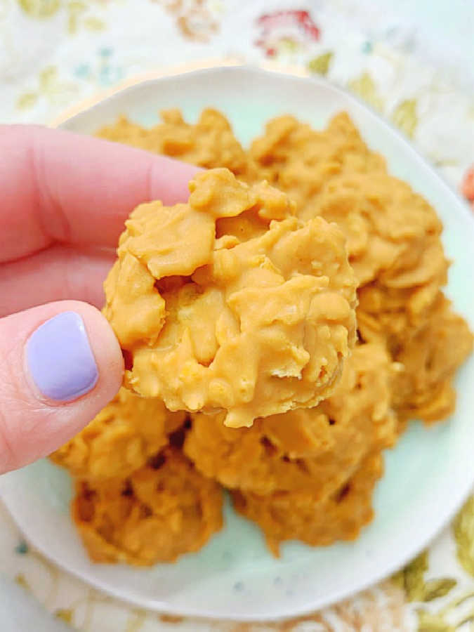 picking up a peanut butter cornflake cookie and showing it up close