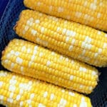 four cooked ears of corn in the air fryer basket