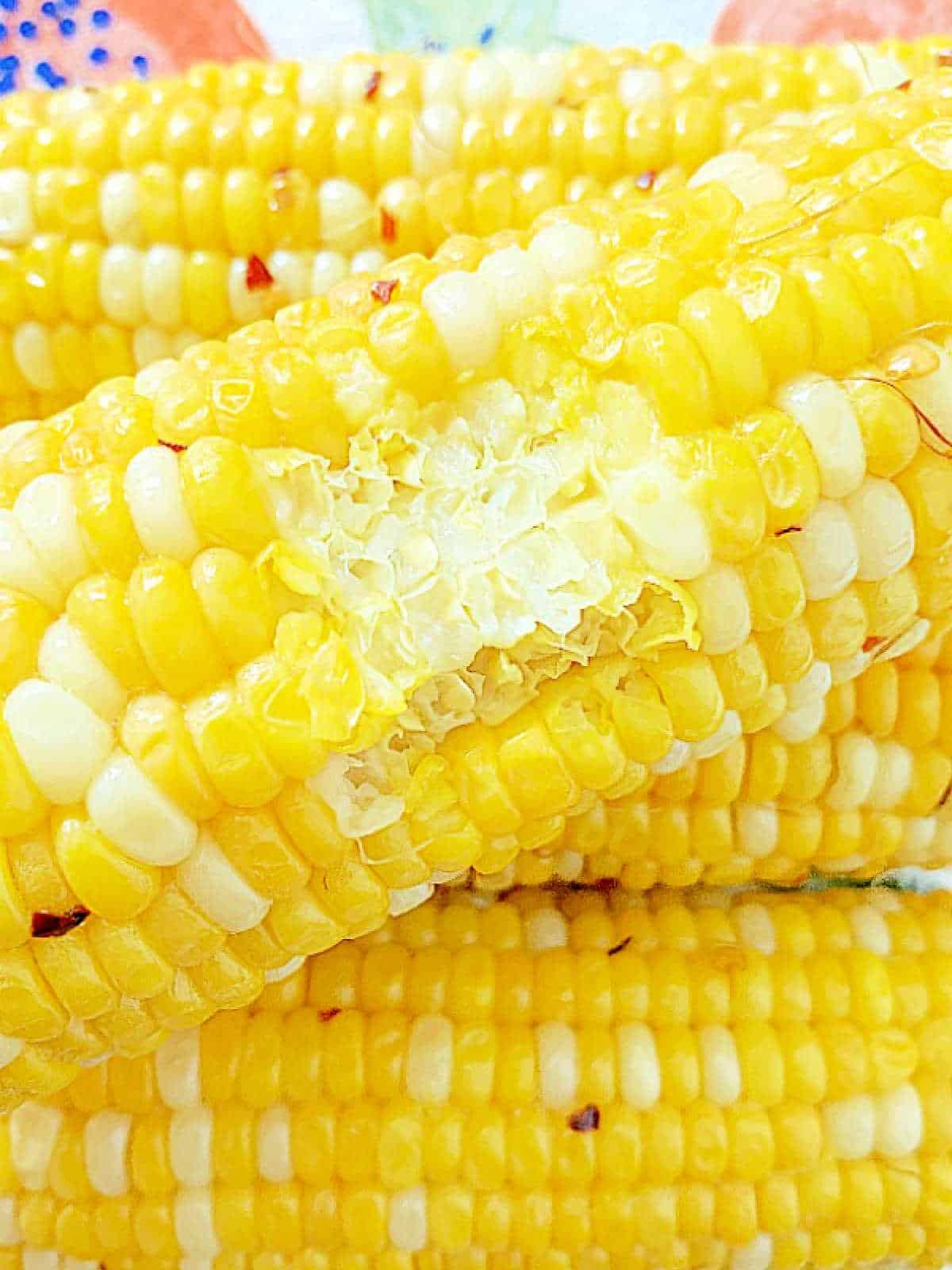 plated corn on the cob with a bite taken out