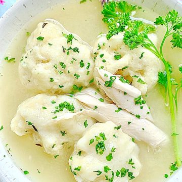 overhead view of chicken and dumplings in a bowl