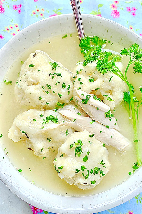 overhead view of chicken and dumplings in a bowl