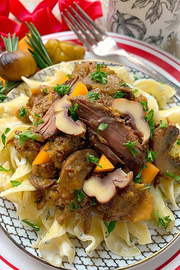 close up of chestnut beef stew